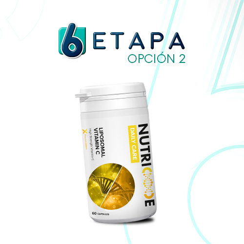 980603.04 - FIT6 - New Generation - Etapa 6 (Opción 2 - Liposomal) - ES